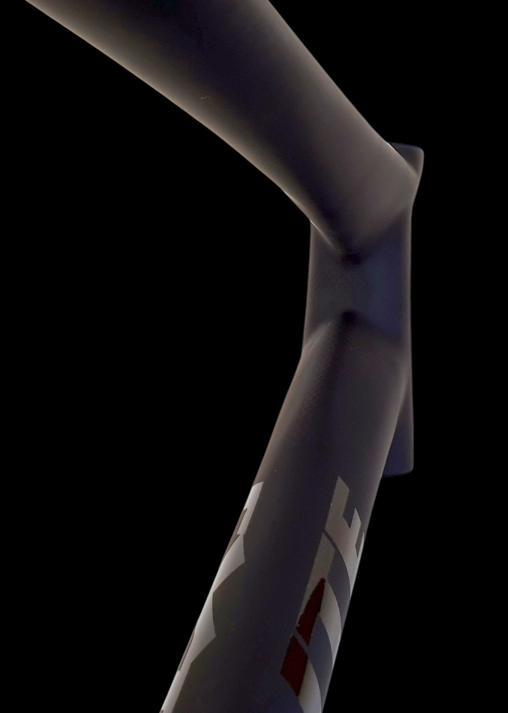 Avatar slide